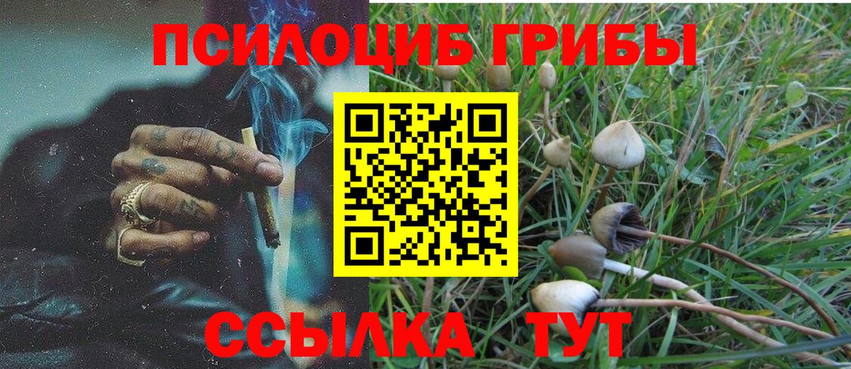 Канск  Галлюциногенные грибы GOLDEN TEACHER  Вход с VPN 