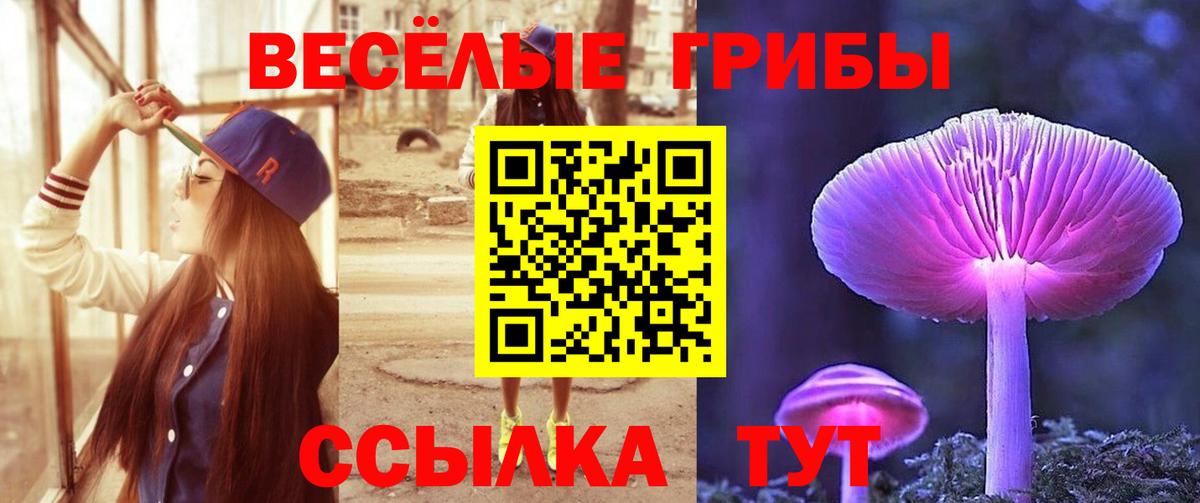 Галлюциногенные грибы прущие грибы Канск